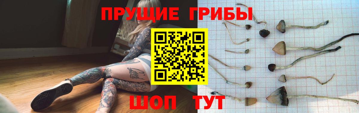 Галлюциногенные грибы мицелий  Вход с VPN  Дальнегорск 